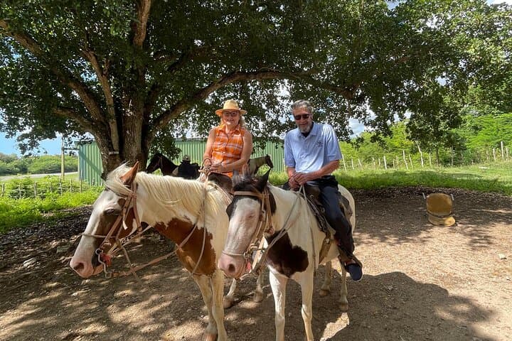 Half-Day Horseback and Taíno Cave Tour — La Romana Adventure