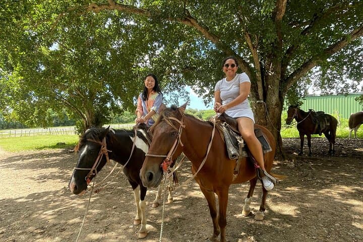 Half-Day Horseback and Taíno Cave Tour — La Romana Adventure photo 2