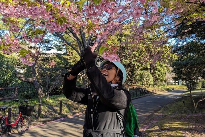 Tokyo Sakura E-Bike Tour: Cherry Blossoms, Shrines & Imperial Palace Loop photo 6