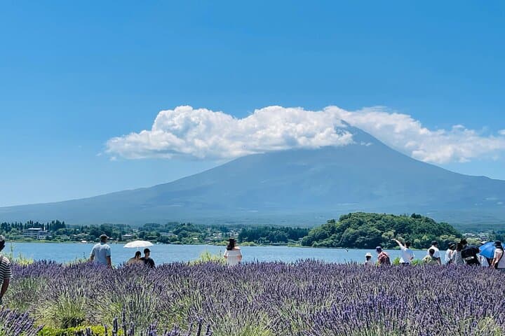 One-Day Private Van to Mt Fuji: Kawaguchi, Oshino Hakkai & Onsen