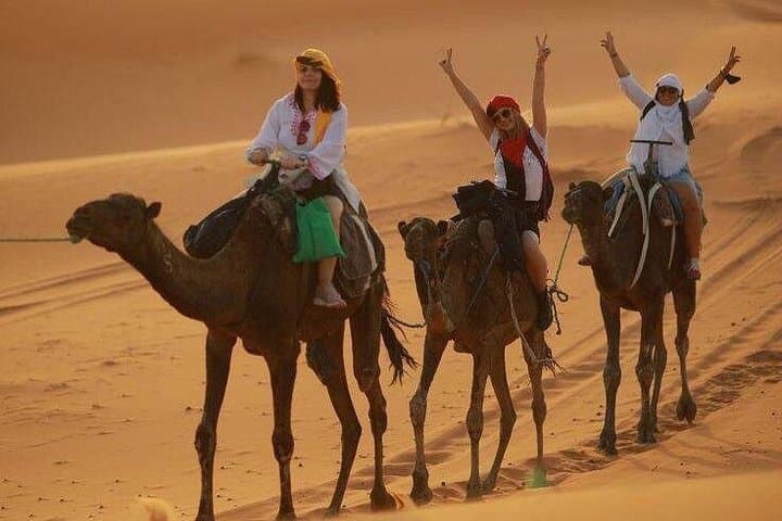 Erg Chebbi in Two Days: Luxury Camel Trek and Night in a Berber Camp from Fes photo 4