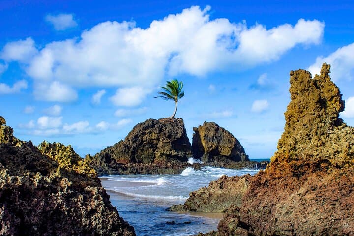Southern Coast Beaches and Tambaba: Day Trip from João Pessoa photo 2