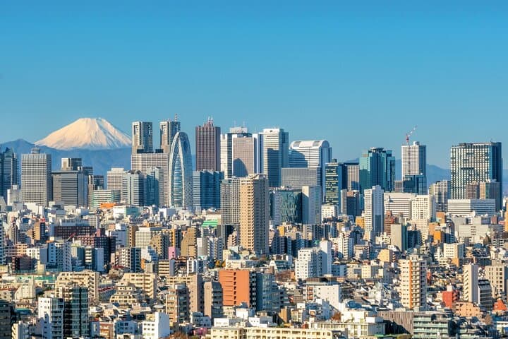Customize Your Day: Tokyo Full-Day Private City Tour with Expert Driver photo 5
