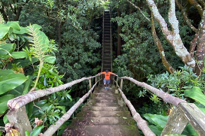 Janela do Inferno to Caldeira Velha: Full-Day Volcano Hike on São Miguel