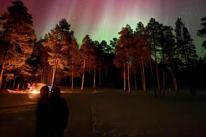 Active Aurora Hunt from Saariselkä & Inari — Chase the Northern Lights photo 5