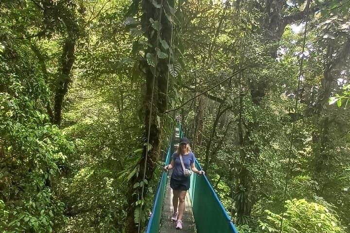 Rainforest Sloths, Hot Springs & Mud Baths Near Playa Flamingo — Full-Day Adventure photo 3