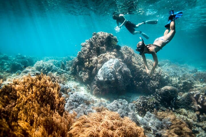 All-Inclusive Blue Lagoon & Tanjung Jepun Snorkeling in Bali