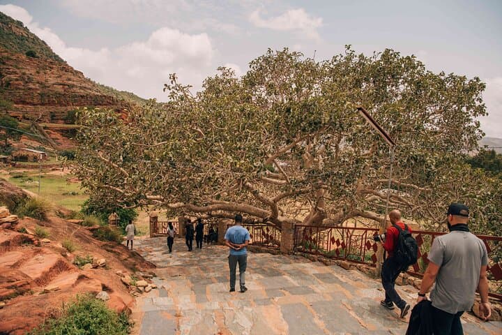 Gheralta Hidden Churches: 2-Day Abune Yemata & Abreha Atsbeha Trek photo 5