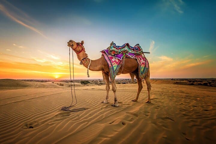 Private Desert Safari in Al Lahbab: Luxury Big Red Dunes Experience photo 3