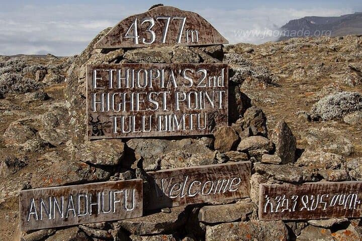 3-Day Bale Mountains Trek: Tulu Dimtu, Dinsho & Ethiopian Wolf Safari