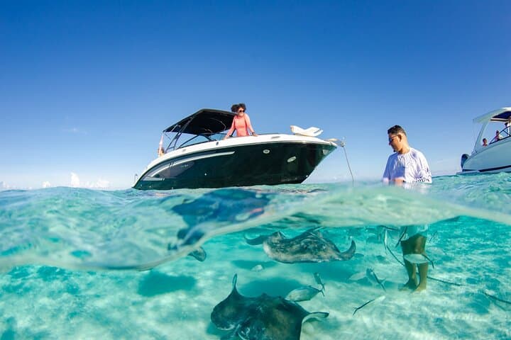 Private Stingray City Charter & Snorkel: 3-Hour North Sound Adventure