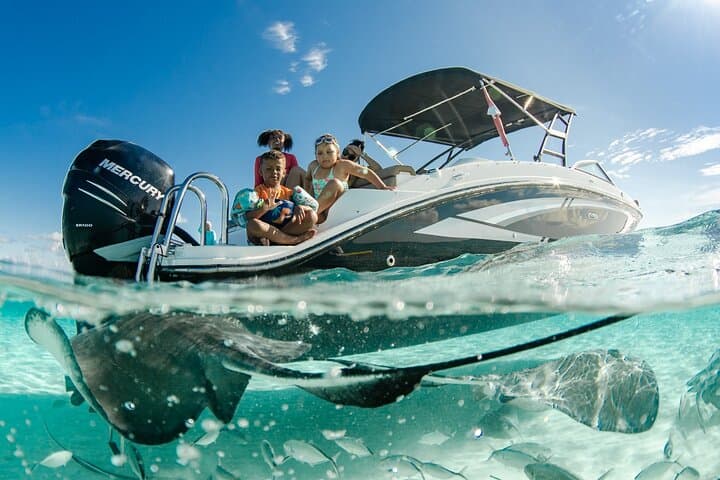 Private Stingray City Charter & Snorkel: 3-Hour North Sound Adventure photo 5