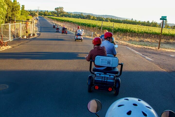 Sonoma Electric Trike Wine Tour — 3-Hour Guided Vineyard Ride photo 5