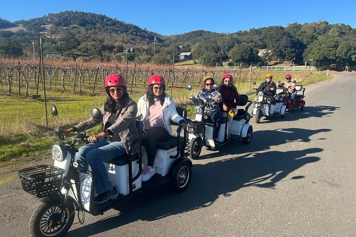 Sonoma Electric Trike Wine Tour — 3-Hour Guided Vineyard Ride