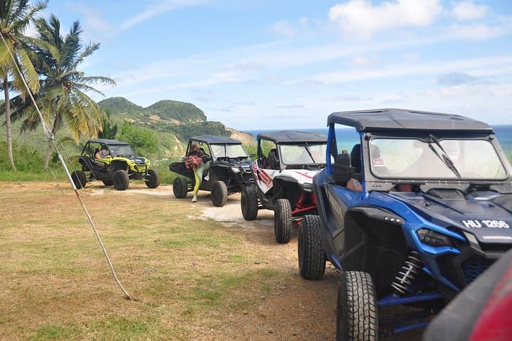 Drive and Fly: Buggy-to-Zipline Adventure in Rodney Bay, St. Lucia photo 4