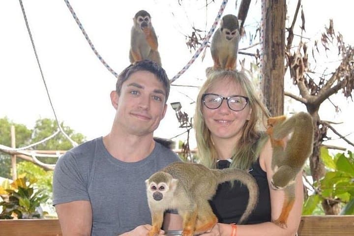 Puerto Plata City Tour with Monkeys — Amber, Rum & Cevallos Wildlife Experience photo 4