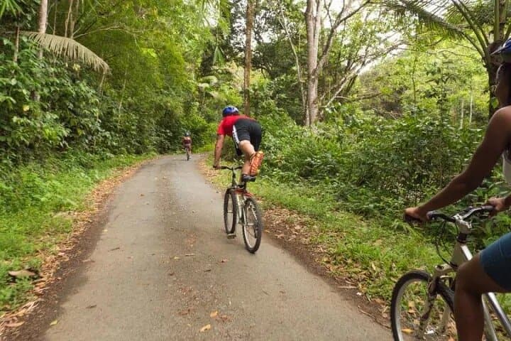 Rainforest Cycling Adventure in St. Lucia — Ride to Errard Waterfall photo 4