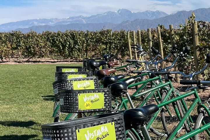 Bike Between Vineyards: Luján de Cuyo Wine Tour by Bicycle