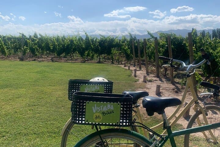 Bike Between Vineyards: Luján de Cuyo Wine Tour by Bicycle photo 2