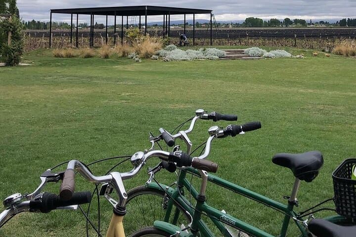Bike Between Vineyards: Luján de Cuyo Wine Tour by Bicycle photo 4