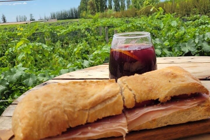 Bike Between Vineyards: Luján de Cuyo Wine Tour by Bicycle photo 5