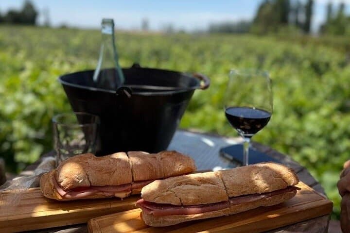 Bike Between Vineyards: Luján de Cuyo Wine Tour by Bicycle photo 6