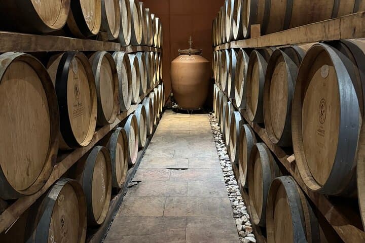 Evia Truffle Forage and Winery Daytrip: Dirfys Mushroom Hunt and Wine Tasting photo 5