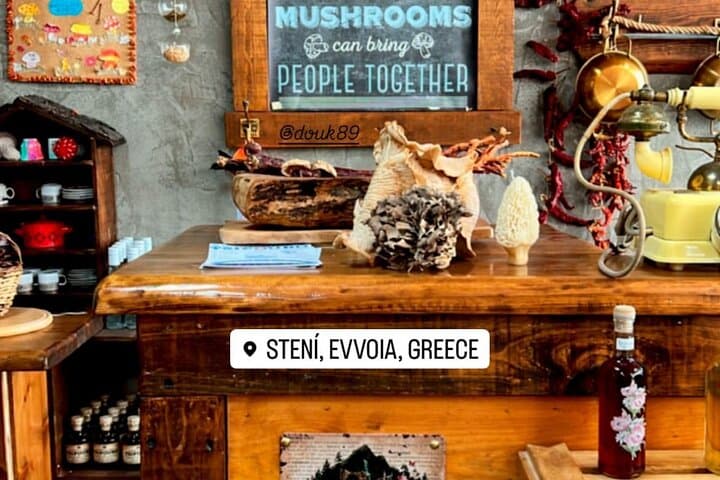 Evia Truffle Forage and Winery Daytrip: Dirfys Mushroom Hunt and Wine Tasting photo 6