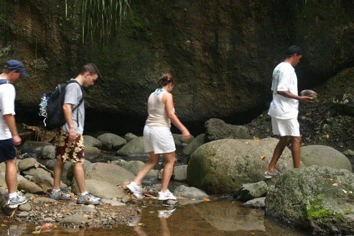Rainforest Hike to a Waterfall near Castries, St. Lucia — 3–4 Hour Guided Trek photo 5