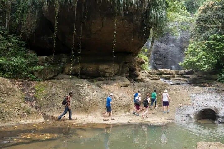 Rainforest Hike to a Waterfall near Castries, St. Lucia — 3–4 Hour Guided Trek photo 6