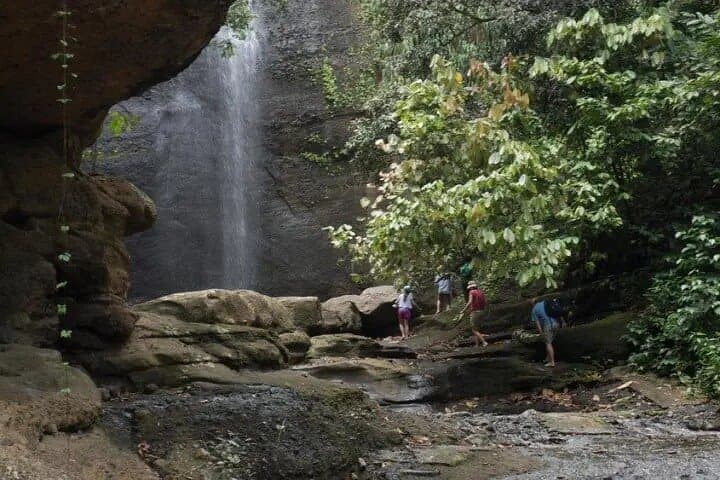 Rainforest Hike to a Waterfall near Castries, St. Lucia — 3–4 Hour Guided Trek