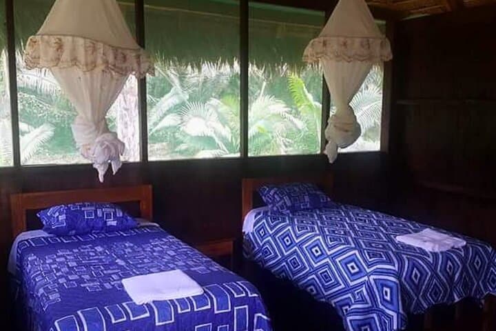 4-Day Tambopata Amazon Adventure: Sandoval Lake, Clay Licks & Ese'Eja Community photo 5