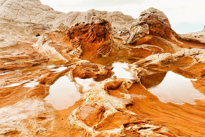 White Pocket Morning Off‑Road Guided Hike from Kanab — Vermilion Cliffs Discovery