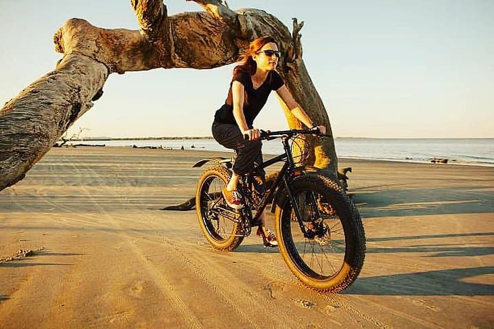 Camargue Electric All-Terrain Scooter Tour — 4-Hour Wildlife Circuit photo 1