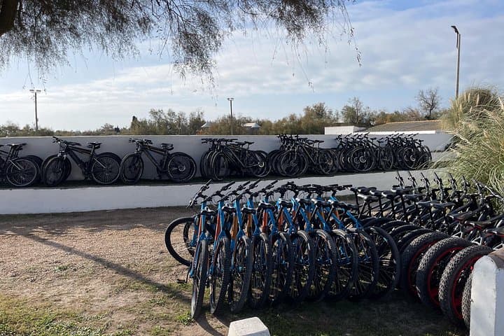 Camargue Electric All-Terrain Scooter Tour — 4-Hour Wildlife Circuit photo 2