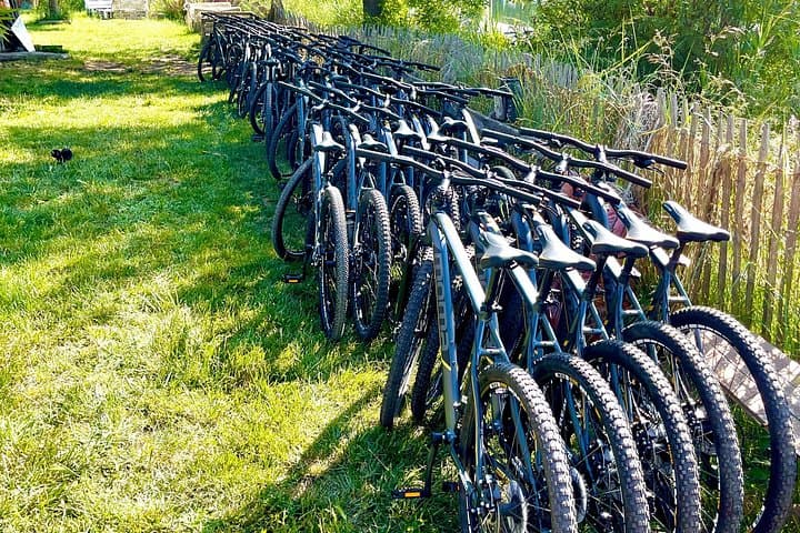 Camargue Electric All-Terrain Scooter Tour — 4-Hour Wildlife Circuit photo 3