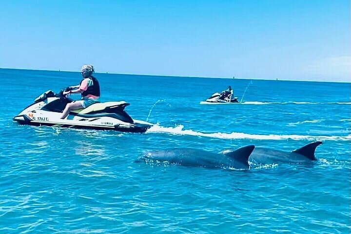 Shell Island Jet Ski Dolphin Tour — 2-Hour Panama City Beach Adventure