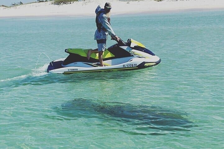 Shell Island Jet Ski Dolphin Tour — 2-Hour Panama City Beach Adventure photo 3