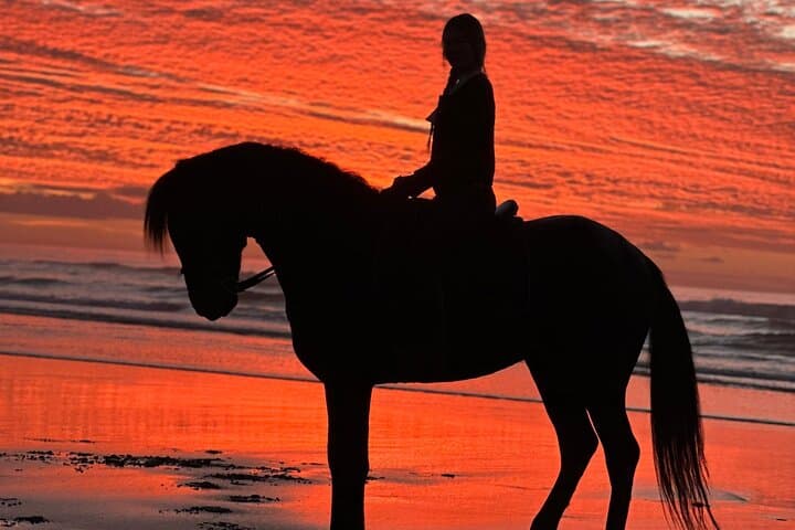 Sunset Horseback Ride on Essaouira Beach — 2-Hour Guided Coastal Experience photo 4