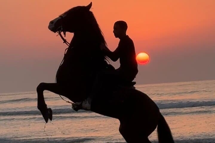 Sunset Horseback Ride on Essaouira Beach — 2-Hour Guided Coastal Experience photo 6