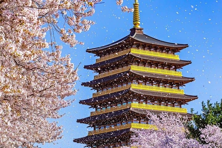 Gyeongju Cherry Blossom Day Tour from Busan — Best Spring Spots, History & Tips