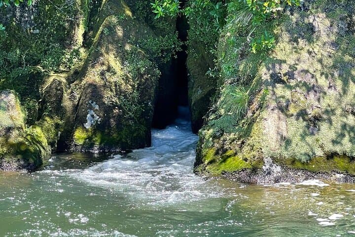 Chasing Waterfalls: Lake Taupo Adventurer Boat Tour from Kinloch Marina photo 6