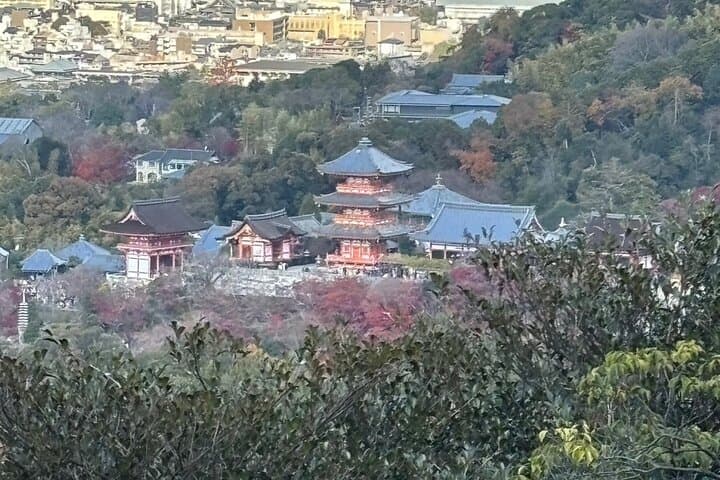 Hike Mt. Amida for Kiyomizu Views: A Local Kyoto Morning Hike photo 3