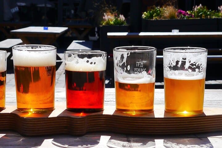 North Fork Wine Tour: Sights, Bites & Flights — Full-Day North Fork Wine Country Experience photo 2