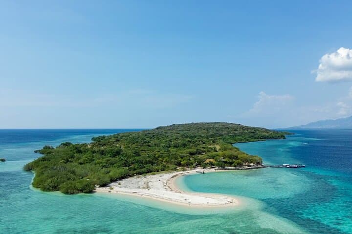 3-Day PADI Open Water Course in Pemuteran, Bali — Learn to Dive with Reef Restoration