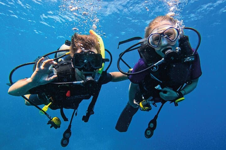 3-Day PADI Open Water Course in Pemuteran, Bali — Learn to Dive with Reef Restoration photo 4
