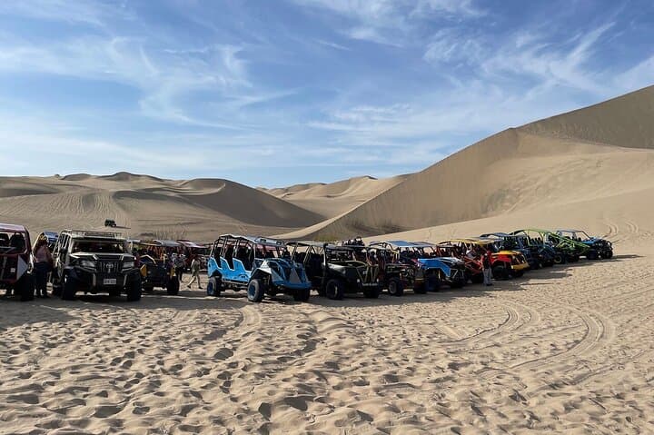Ballestas Islands & Huacachina Oasis: Full-Day Wildlife, Dunes & Desert Adventure photo 4