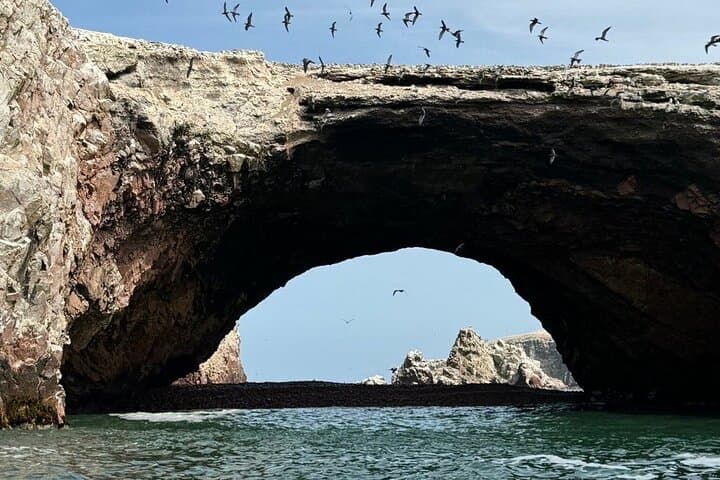 Ballestas Islands & Huacachina Oasis: Full-Day Wildlife, Dunes & Desert Adventure photo 6