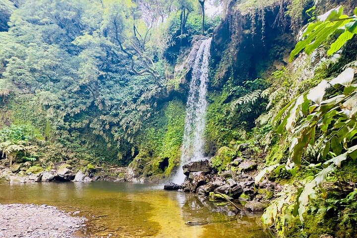 Private Hike in São Miguel: Craters, Lakes & Waterfalls on a Guided Trail photo 3