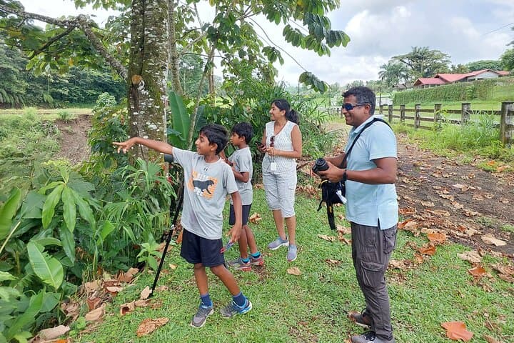 Arenal Sloth Quest: Ethical Sloth Viewing in La Fortuna photo 2